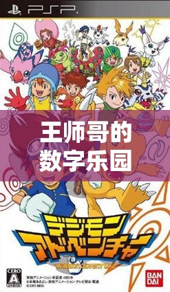 王師哥的數(shù)字樂園，智慧與策略的冒險之旅