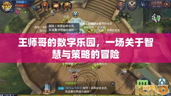 王師哥的數(shù)字樂園，智慧與策略的冒險之旅
