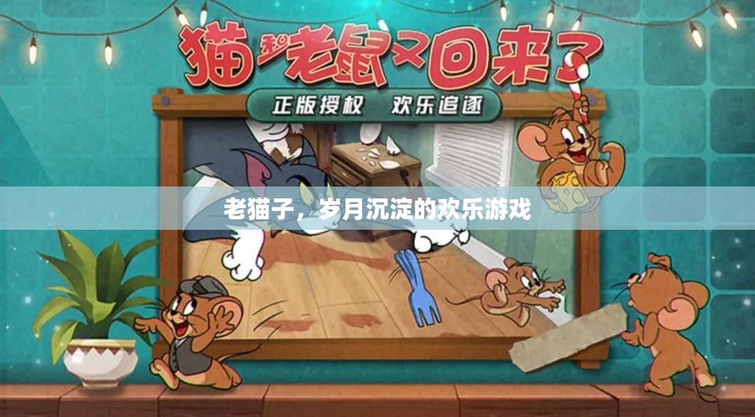 歲月沉淀的歡樂(lè)，老貓子的溫馨時(shí)光