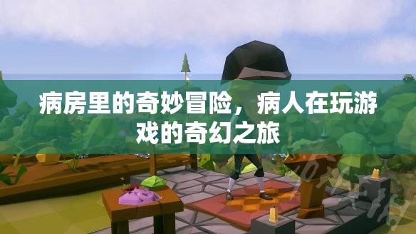 病房里的奇妙冒險(xiǎn)，病人的游戲奇幻之旅