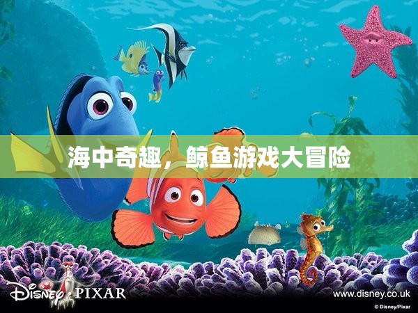 海中奇趣，鯨魚游戲大冒險