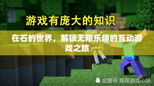 解鎖石之世界的無限樂趣，一場(chǎng)互動(dòng)游戲的冒險(xiǎn)之旅