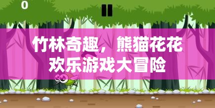 竹林奇趣，熊貓花花歡樂游戲大冒險(xiǎn)