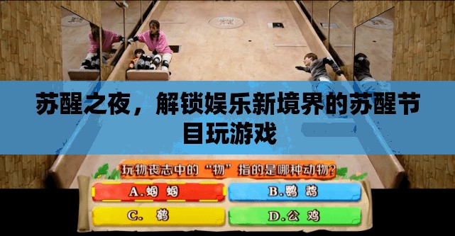 蘇醒之夜，解鎖娛樂(lè)新境界的創(chuàng)意游戲節(jié)目