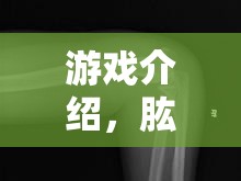 肱骨奇緣，骨折挑戰(zhàn)游戲介紹