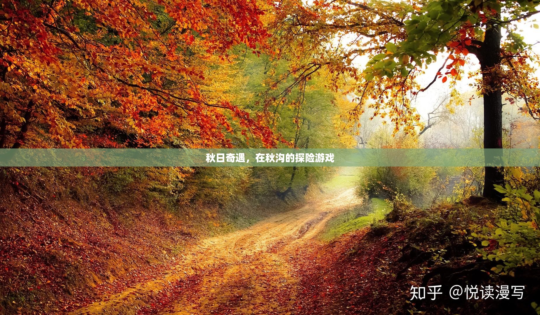秋日奇遇，秋溝探險記