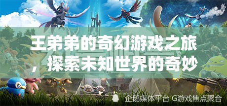 王弟弟的奇幻游戲之旅，探索未知世界的奇妙冒險(xiǎn)