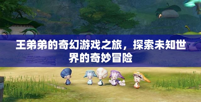 王弟弟的奇幻游戲之旅，探索未知世界的奇妙冒險(xiǎn)