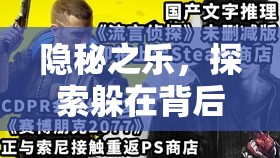 隱秘之樂，探索躲在背后玩游戲的奇妙世界