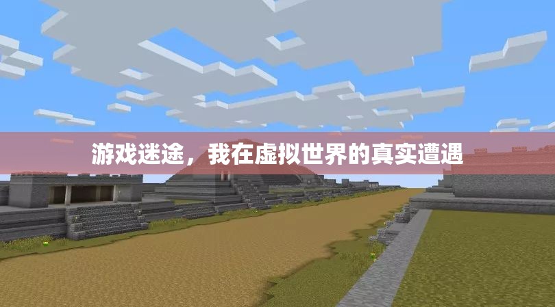 游戲迷途，我在虛擬世界的真實(shí)遭遇