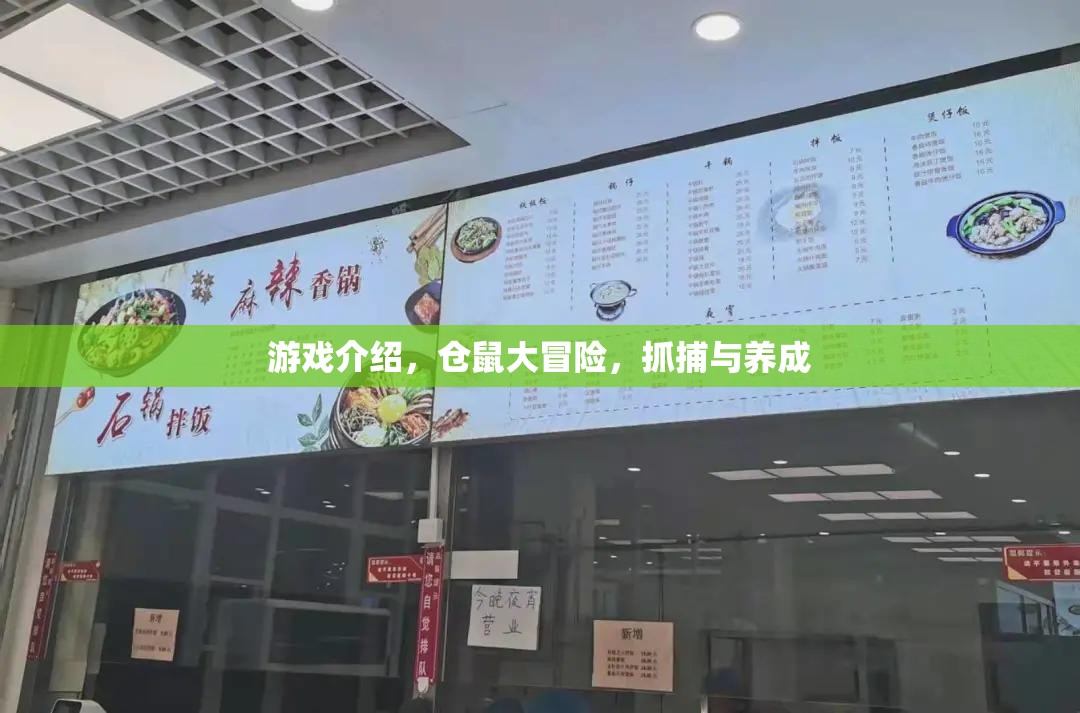 倉鼠大冒險，抓捕與養(yǎng)成，打造你的萌寵樂園
