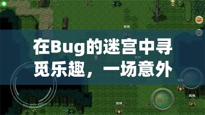 在Bug的迷宮中尋覓樂趣，一場意外的游戲之旅