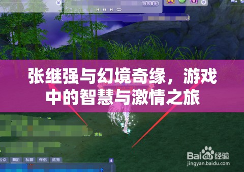 張繼強(qiáng)的幻境奇緣，智慧與激情的交織之旅