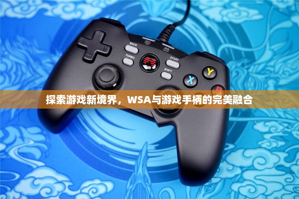 WSA與游戲手柄，探索游戲新境界的完美融合
