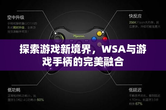 WSA與游戲手柄，探索游戲新境界的完美融合