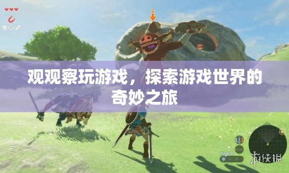 游戲世界的奇妙探索，觀觀察玩的冒險(xiǎn)之旅