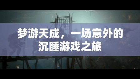 夢游天成，一場意外的沉睡游戲之旅