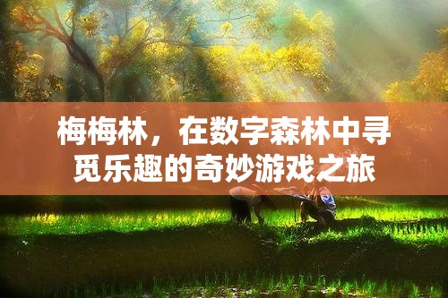 梅梅林，在數(shù)字森林中尋覓樂趣的奇妙游戲之旅