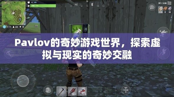 Pavlov的奇妙游戲世界，探索虛擬與現(xiàn)實的交融之旅