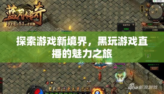 探索游戲新境界，黑玩游戲直播的魅力之旅
