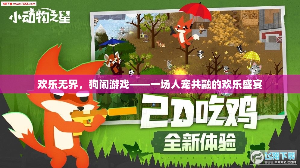 人寵同歡，歡樂無界的狗鬧游戲盛宴