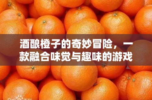 酒釀橙子的奇妙冒險(xiǎn)，味覺(jué)與趣味的完美融合游戲