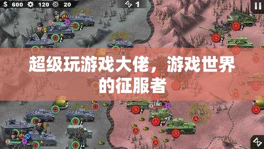 游戲世界的征服者，超級(jí)玩家的傳奇之旅