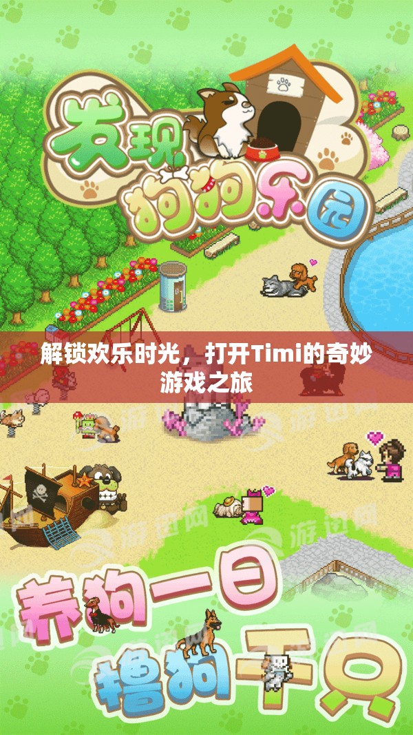 Timi的奇妙游戲之旅，解鎖歡樂時光的鑰匙