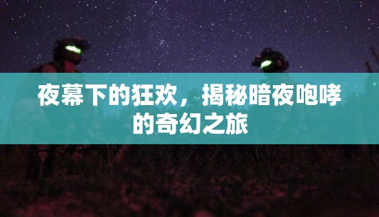 暗夜狂歡，揭秘奇幻之旅的咆哮之夜