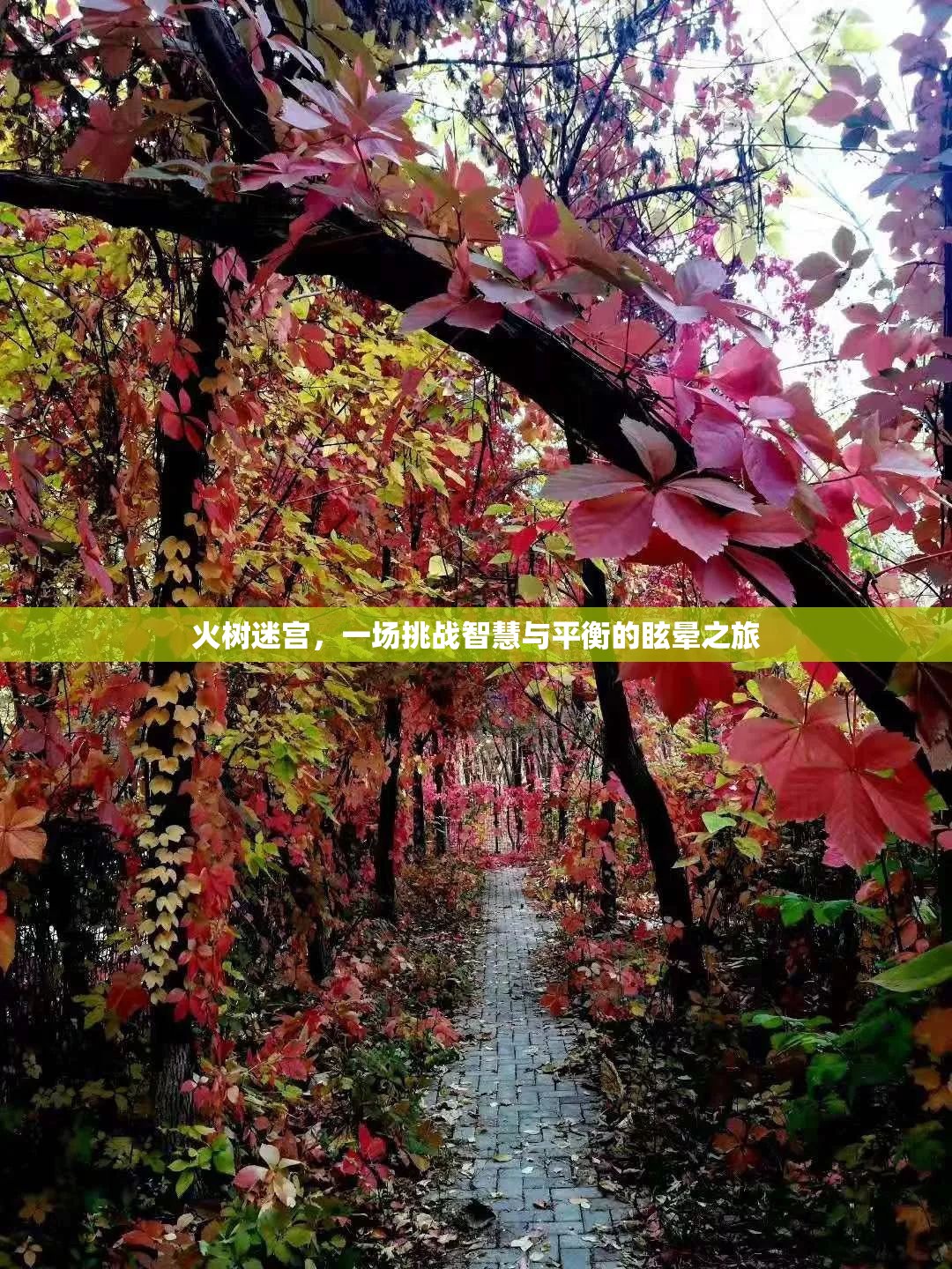 火樹(shù)迷宮，智慧與平衡的眩暈挑戰(zhàn)之旅