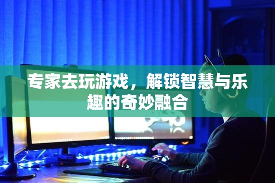 專家游戲之旅，解鎖智慧與樂趣的雙重奇遇