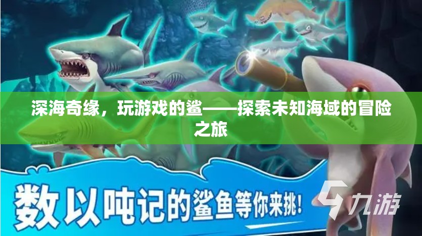 深海奇緣，與鯊共舞的未知冒險(xiǎn)之旅
