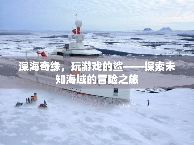 深海奇緣，與鯊共舞的未知冒險(xiǎn)之旅