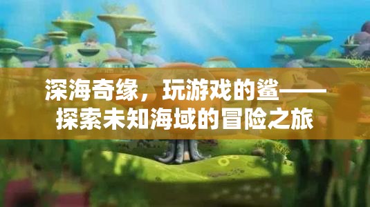 深海奇緣，與鯊共舞的未知冒險(xiǎn)之旅