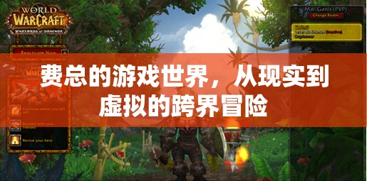 費總，從現(xiàn)實到虛擬的跨界冒險之旅