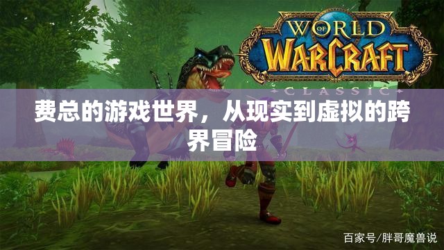 費總，從現(xiàn)實到虛擬的跨界冒險之旅