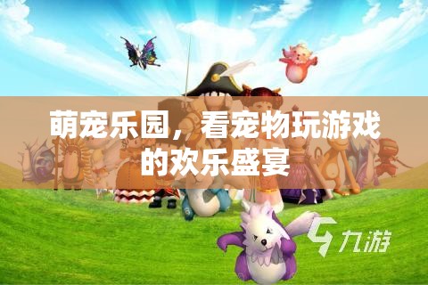 萌寵樂園，寵物游戲大賞，歡樂盛宴的萌趣瞬間