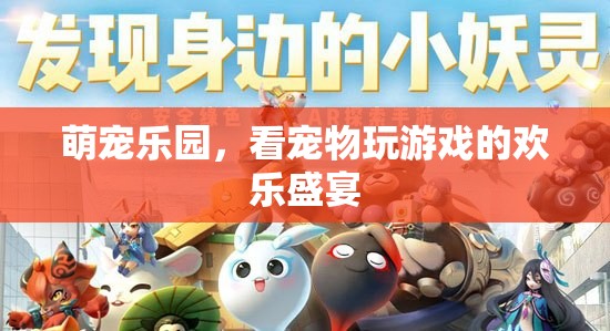 萌寵樂園，寵物游戲大賞，歡樂盛宴的萌趣瞬間