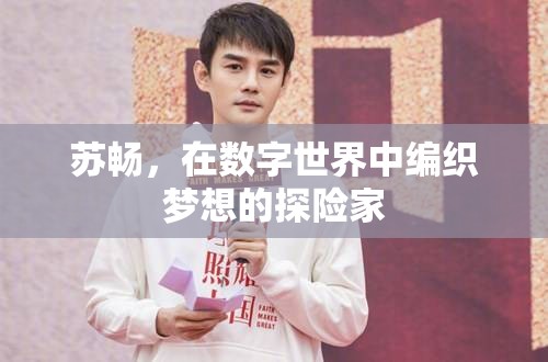 數(shù)字世界的夢(mèng)想編織者，蘇暢的探險(xiǎn)之旅