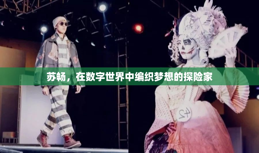 數(shù)字世界的夢(mèng)想編織者，蘇暢的探險(xiǎn)之旅