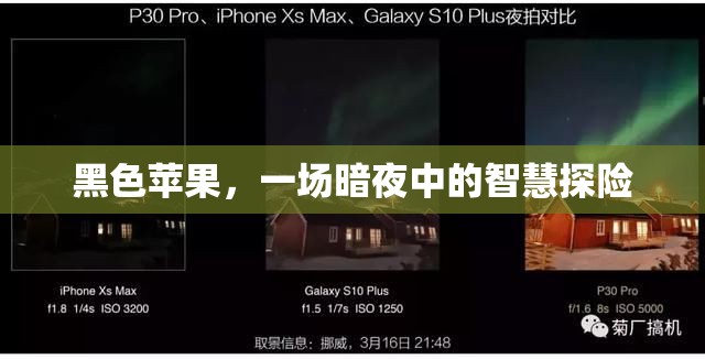 暗夜中的智慧探險(xiǎn)，黑色蘋果的神秘之旅