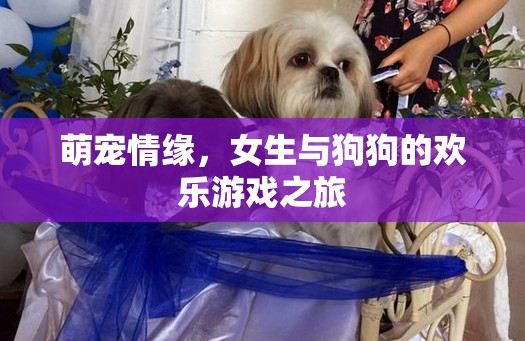 萌寵情緣，女生與狗狗的歡樂游戲之旅