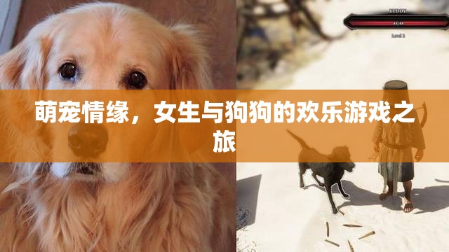 萌寵情緣，女生與狗狗的歡樂游戲之旅