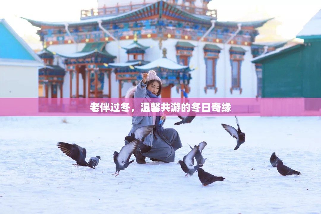 冬日共游，老伴的溫馨奇緣