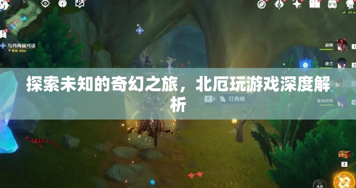 北厄，探索未知的奇幻游戲之旅深度解析