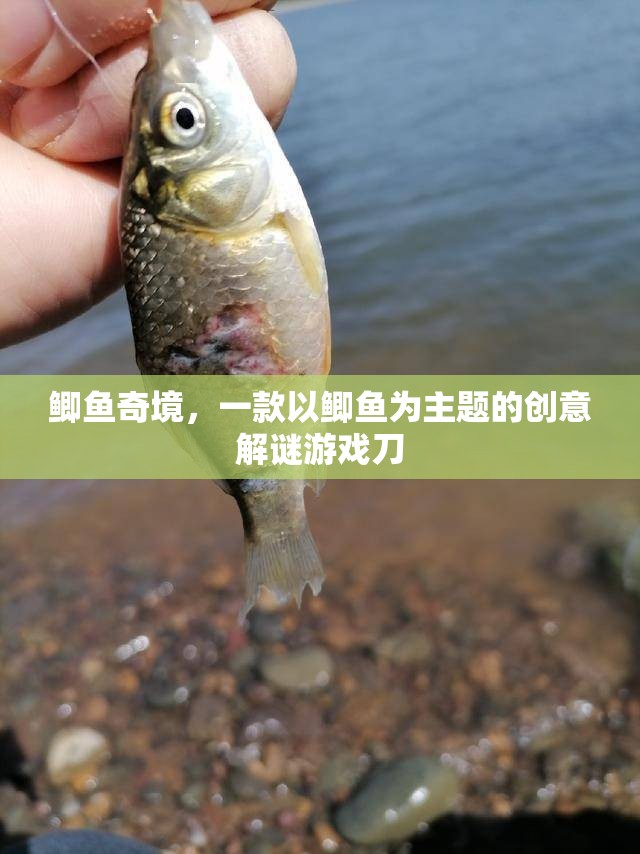 鯽魚奇境，探索鯽魚世界的創(chuàng)意解謎冒險(xiǎn)
