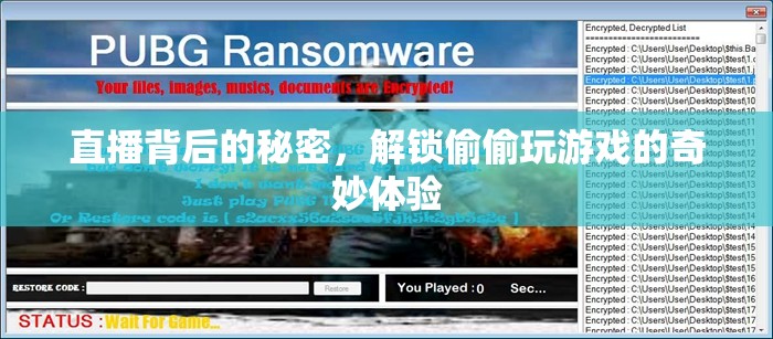 解鎖直播背后的秘密，探索偷偷玩游戲的奇妙體驗