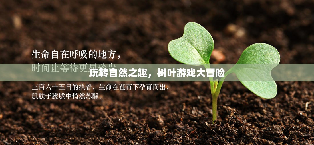 自然之趣，樹葉游戲大冒險