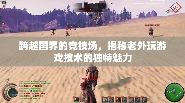 跨越國界的競技場，揭秘老外游戲技術(shù)的獨特魅力