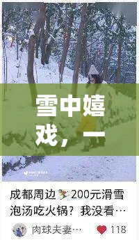 雪域奇趣，一場別開生面的雪中探險(xiǎn)作文游戲